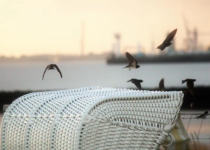 Olenbrook 度假居 *